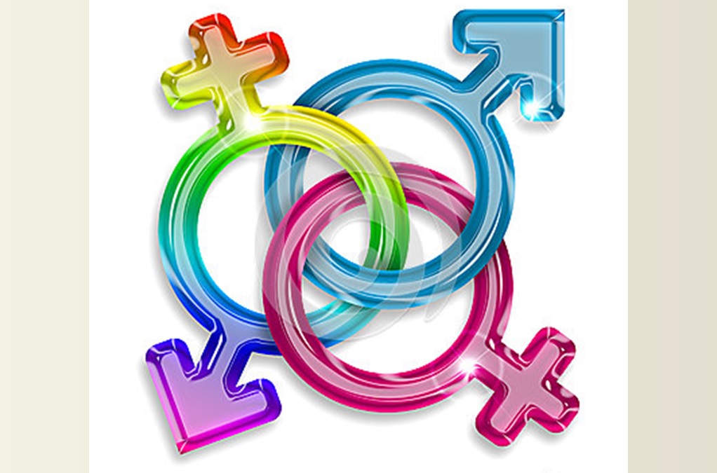 A Diversidade Da Sexualidade Humana Fatos E Reflexões